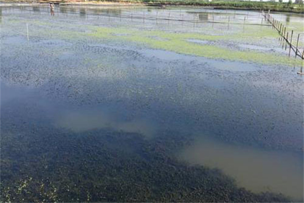 增加溶氧，促進(jìn)有機(jī)物氧化分解
