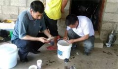 魚(yú)病治療中的發(fā)現(xiàn)、送診、用藥問(wèn)題