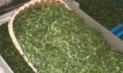 炒青綠茶加工分哪幾道工序、具體方法是什么？