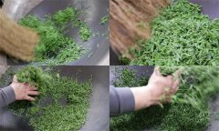 毛尖茶手工制作的具體步驟和方法是什么？