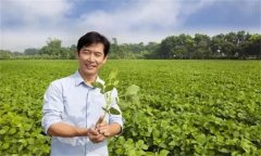 新型農(nóng)民是指什么農(nóng)民，其具備哪三個特征