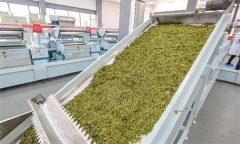 扁形名優(yōu)綠茶機(jī)械加工的具體方法是什么？