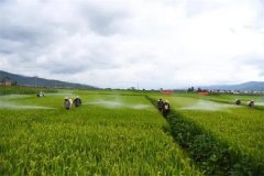 蔬菜病蟲(chóng)害綠色防控技術(shù)主要有哪些？