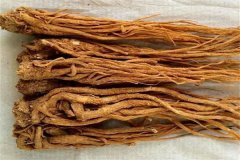 當歸的主要產(chǎn)地是哪里？當歸的作用和功效簡介