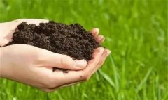 生物有機(jī)肥的功效與作用有哪些？