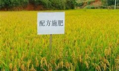 什么是配方施肥技術，配方施肥應遵循哪些原理