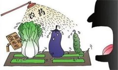 農(nóng)藥“安全、經(jīng)濟、有效”的使用原則