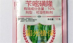 芐嘧磺隆的作用機制、使用方法與注意事項