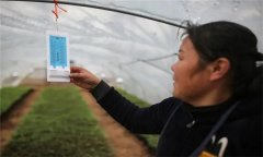 溫度對(duì)農(nóng)作物生長發(fā)育的影響有哪些方面？