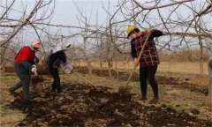 合理施肥的基本原理是什么？