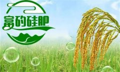 硅肥對(duì)發(fā)展優(yōu)質(zhì)水稻生產(chǎn)有哪些好處？