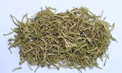 如何科學(xué)飲用金銀花茶？需注意哪些事項(xiàng)？