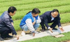 如何處理擱田與治蟲的關(guān)系，怎樣保護(hù)稻田蜘蛛