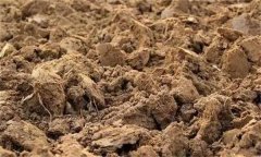 土壤肥力失衡、土壤質(zhì)量下降、土壤酸化怎么辦