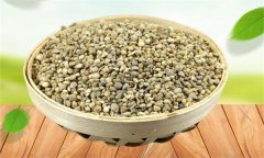 菠菜生長發(fā)育的過程是怎樣的？