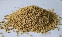 雞飼料中可以添加膽堿嗎？